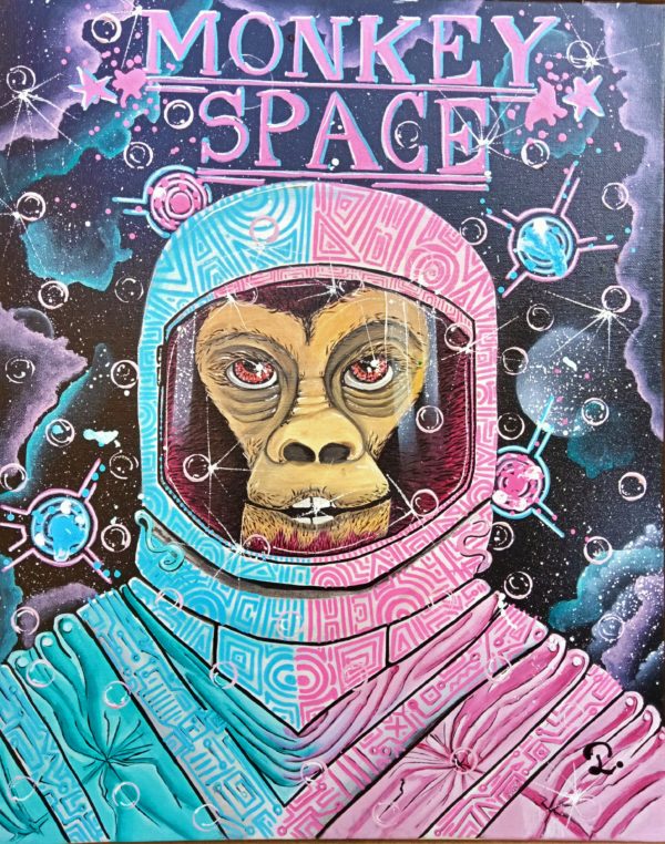Space monkey
